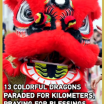 13 Dragons Illuminate Longchang’s Cultural Heritage in 2026 Festivity video poster