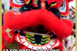 13 Dragons Illuminate Longchang’s Cultural Heritage in 2026 Festivity video poster