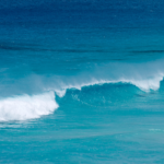 UNESCO_Warns_Ocean_Carbon_Knowledge_Gaps_Threaten_Climate_Action