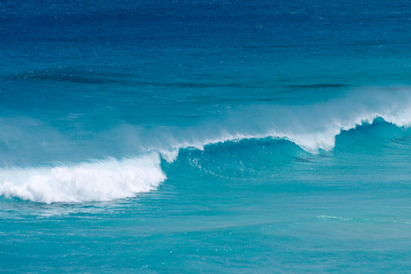 UNESCO_Warns_Ocean_Carbon_Knowledge_Gaps_Threaten_Climate_Action