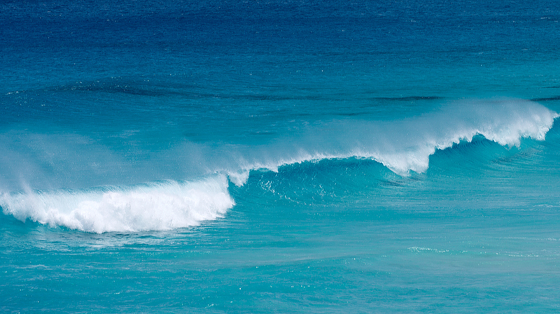 UNESCO_Warns_Ocean_Carbon_Knowledge_Gaps_Threaten_Climate_Action