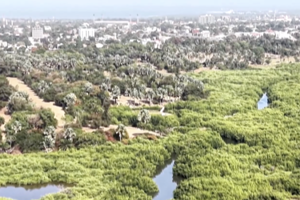 US_Paris_Exit_Strains_African_Climate_Funding__Gambian_Youth_Lead_Adaptation_Efforts video poster