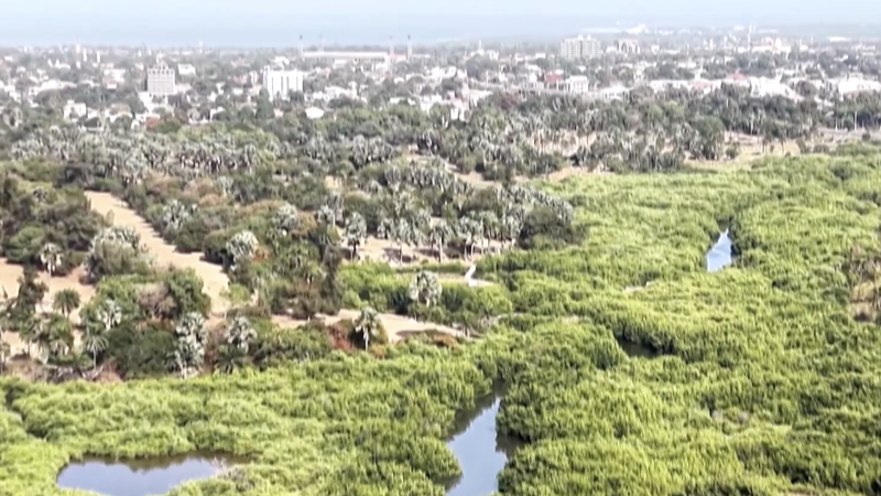 US_Paris_Exit_Strains_African_Climate_Funding__Gambian_Youth_Lead_Adaptation_Efforts video poster