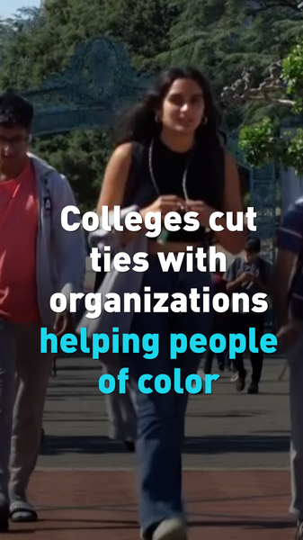 U_S__Colleges_Cut_Diversity_Doctoral_Programs_Amid_Political_Pressure video poster