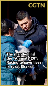 Veterinary_Hero_Rescues_Rural_Livelihoods_in_Shanxi video poster
