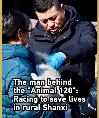 Veterinary_Hero_Rescues_Rural_Livelihoods_in_Shanxi video poster