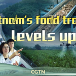 Vietnam_s_Cassava_Industry_Booms_Through_Cross_Border_Collaboration video poster