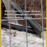 Washington_D_C__Declares_Emergency_Over_Potomac_Sewage_Crisis video poster