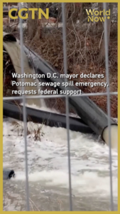 Washington_D_C__Declares_Emergency_Over_Potomac_Sewage_Crisis video poster
