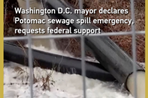 Washington_D_C__Declares_Emergency_Over_Potomac_Sewage_Crisis video poster