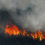 Wildfire_Smoke_Tied_to_24_000_Annual_U_S__Deaths__Study_Reveals