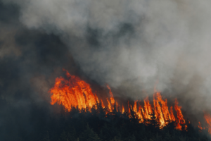 Wildfire_Smoke_Tied_to_24_000_Annual_U_S__Deaths__Study_Reveals
