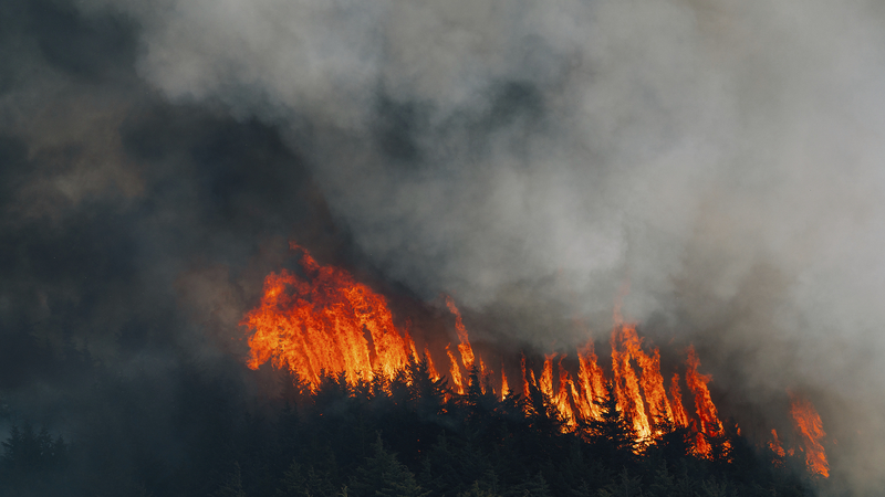 Wildfire_Smoke_Tied_to_24_000_Annual_U_S__Deaths__Study_Reveals