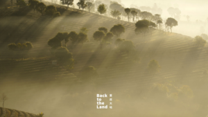 Winter_Sunrise_Illuminates_Pu_er_s_Tea_Terraces_in_Yunnan