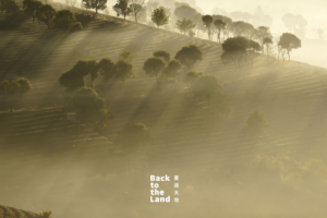 Winter_Sunrise_Illuminates_Pu_er_s_Tea_Terraces_in_Yunnan