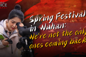 Wuhan_s_Winter_Guardians__Migratory_Birds_and_Humans_Share_Spring_Festival_Homecoming video poster