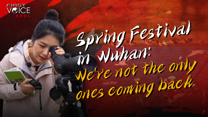 Wuhan_s_Winter_Guardians__Migratory_Birds_and_Humans_Share_Spring_Festival_Homecoming video poster