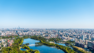 Xi_Jinping_Engages_Putin__Trump_in_High_Stakes_Diplomacy_to_Bolster_Global_Stability