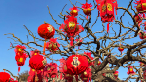 Xi_Jinping_Extends_Chinese_New_Year_Greetings_to_Iowa_Friends__Stresses_People_to_People_Ties