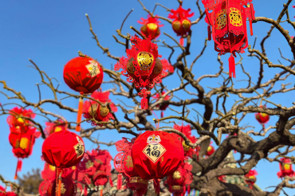 Xi_Jinping_Extends_Chinese_New_Year_Greetings_to_Iowa_Friends__Stresses_People_to_People_Ties