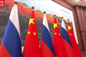 Xi__Putin_Hold_Virtual_Talks_on_Bilateral_Cooperation