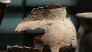 Yujiashan_Museum_Unveils_Immersive_Liangzhu_Artifact_Experience_in_2026