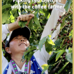 Yunnan_s_Coffee_Harvest__Tradition_Meets_Global_Demand_in_2026_poster - Khabar Asia Yunnan_s_Coffee_Harvest__Tradition_Meets_Global_Demand_in_2026 video poster