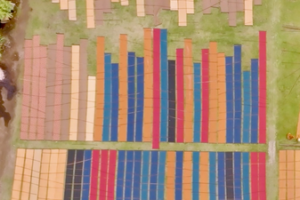 Shunde’s Gambiered Canton Gauze: Silk Art Meets Timeless Craftsmanship video poster