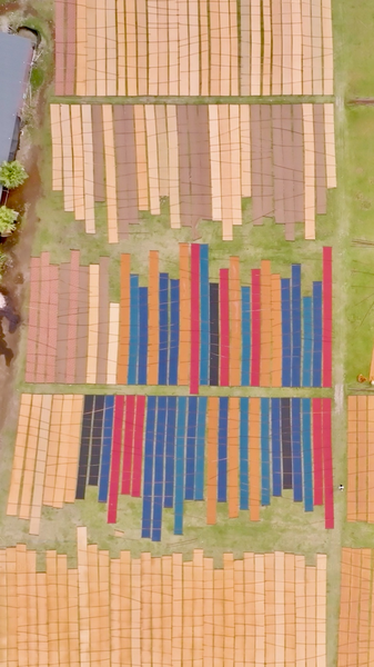 Shunde’s Gambiered Canton Gauze: Silk Art Meets Timeless Craftsmanship video poster