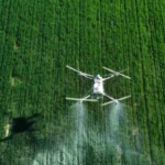 BeiDou Drones Revolutionize Wheat Farming in China’s Xinjiang video poster