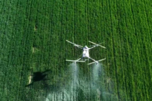 BeiDou Drones Revolutionize Wheat Farming in China’s Xinjiang video poster