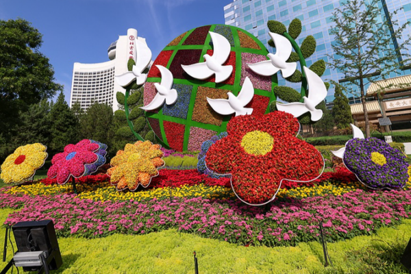 China’s Heads-of-State Diplomacy Drives Global Engagement, Says FM Wang Yi