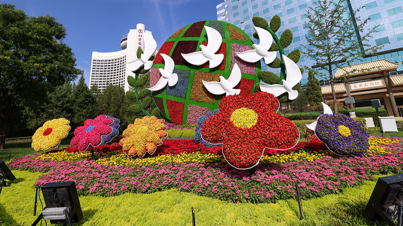 China’s Heads-of-State Diplomacy Drives Global Engagement, Says FM Wang Yi