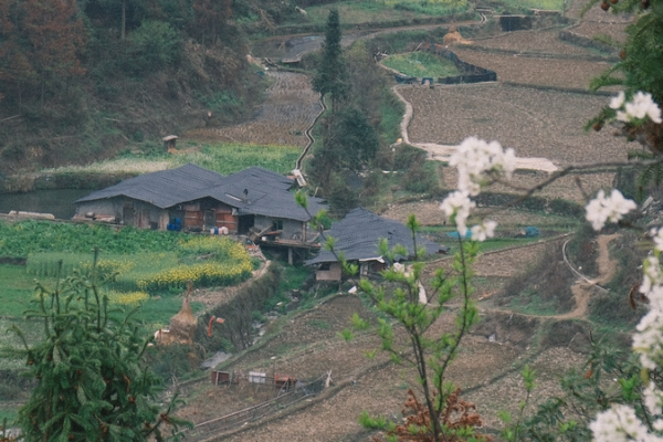 Miao Mountain Villages: Guardians of Tradition in China’s Remote Valleys