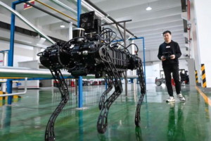 AI_and_Robotics_Power_China_s_Spring_Festival_Productivity_Surge