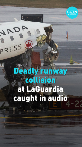 Air_Canada_Runway_Collision_at_LaGuardia_Leaves_Two_Dead__Airport_Closed video poster