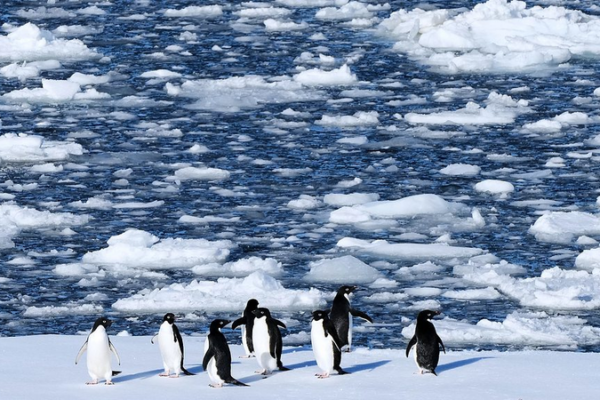 Antarctic_Ice_Plunge_Linked_to_Storms__Warming_Seas__Study_Finds