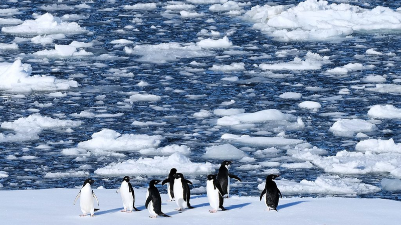 Antarctic_Ice_Plunge_Linked_to_Storms__Warming_Seas__Study_Finds
