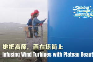 Art_Meets_Renewable_Energy__Wind_Turbines_Reflect_Qinghai_Xizang_Plateau_Beauty video poster