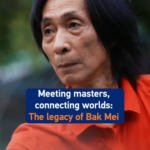 Bak_Mei_Kung_Fu_Bridges_Cultures_Through_Foshan_Mastery_and_Global_Gaming video poster