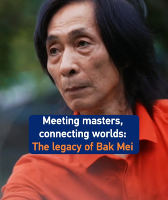 Bak_Mei_Kung_Fu_Bridges_Cultures_Through_Foshan_Mastery_and_Global_Gaming video poster