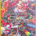 Binyang_Paolong_Festival_Ignites_Guangxi_with_Tradition_and_Unity_poster - Khabar Asia Binyang_Paolong_Festival_Ignites_Guangxi_with_Tradition_and_Unity video poster