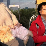 Chengdu_s_New_Show_Taps_into_China_s_Booming_Pet_Economy