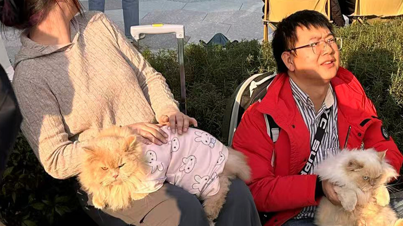 Chengdu_s_New_Show_Taps_into_China_s_Booming_Pet_Economy