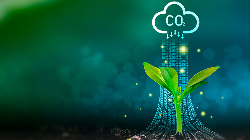 China_Accelerates_Green_Transition_in_Final_Sprint_Toward_2030_Carbon_Peak