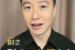 China_Africa_Zero_Tariff_Deal_to_Reshape_Global_Trade_Dynamics video poster