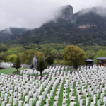 China_Celebrates_First_International_Taijiquan_Day_with_Mass_Gatherings video poster