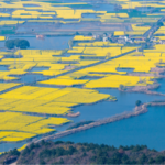 China_Codifies_Green_Reforms_with_Landmark_Environmental_Legislation