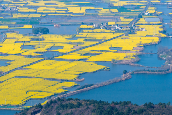 China_Codifies_Green_Reforms_with_Landmark_Environmental_Legislation