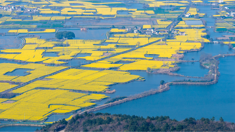 China_Codifies_Green_Reforms_with_Landmark_Environmental_Legislation